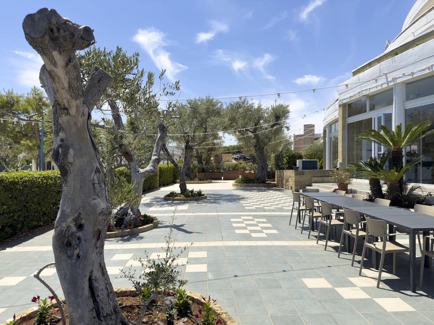cala-corvino-resort-villaggio-ristorante-pizzeria-ulivi-sul-mare-monopoli-polignano.1